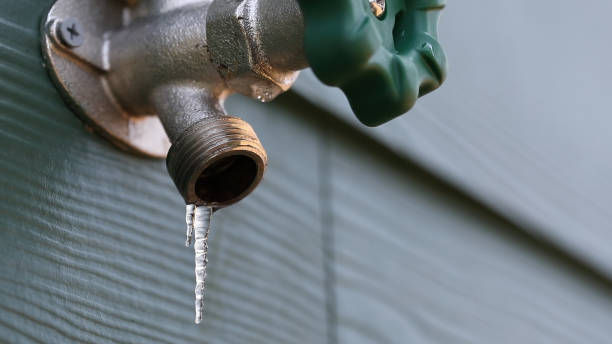 Best Clogged Drain Plumber  in Lake Wales, FL